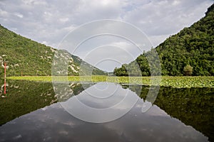 Quiet waters of Lake Skadar in Montenegro