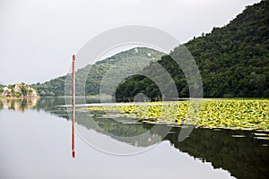 Quiet waters of Lake Skadar in Montenegro