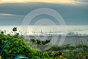 Quiet Waters, Sandy Beach Among Sea Oats