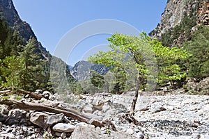 Quietness of the Samaria Gorge