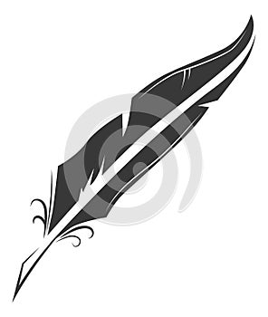 Quill icon. Bird feather. Retro writing tool