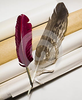 Quill pens and blanc rolled paper sheets lying on a table, vertical top view photo