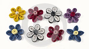 Quilling multicolored flowers