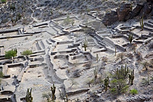 Quilmes civilization photo