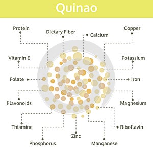 Quinao nutrient of facts and health benefits, info graphic