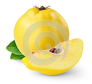 Isolated quince fruit