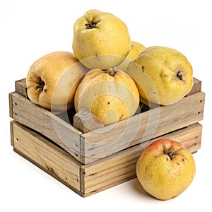 Quince on box isolated on transparent background