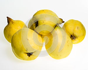 Quince fruit isolated on white