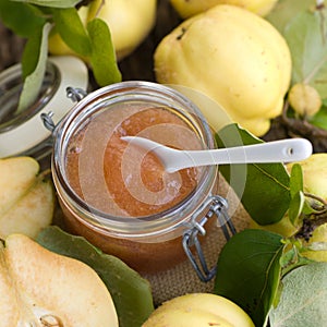 Quince jelly