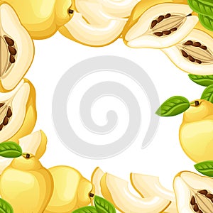 Quince with leaves whole and slices of quinces. Vector illustration of quince. Vector illustration for decorative poster, emblem n