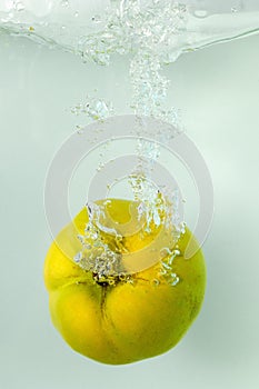 Quince spash in water on white