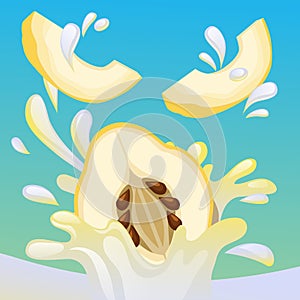 Quince splash vector