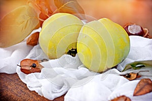 Quinces - Autumn fruit