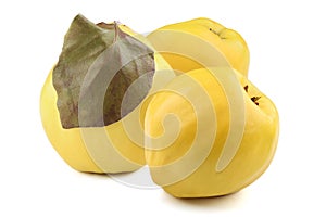 Quinces isolated on white