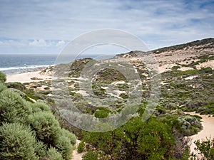 Quinninup Brook meeting the ocean, south-west Australia