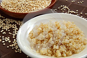 Quinoa photo