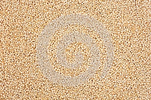 Quinoa Cereal Grains