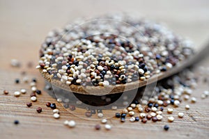 Quinoa and Chia