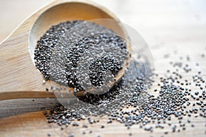 Quinoa and Chia photo