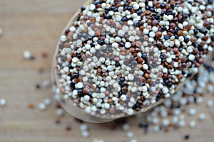 Quinoa and Chia photo