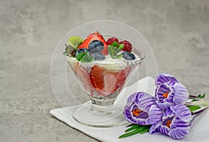 quinoa chia seeds dessert  strawberry blueberry raspberry fresh mint almonds milk