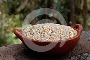 Quinoa, quinoa or quinoa, `Chenopodium quinua`. It is a seed