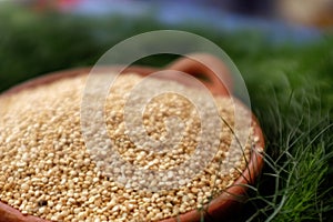 Quinoa, quinoa or quinoa, `Chenopodium quinua`. It is a seed