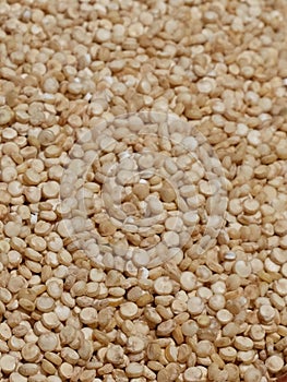 Quinoa, quinoa or quinoa, `Chenopodium quinua`. It is a seed