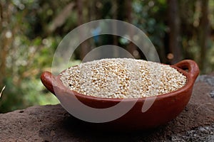 Quinoa, quinoa or quinoa, `Chenopodium quinua`. It is a seed