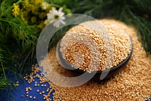 Quinoa, quinoa or quinoa, `Chenopodium quinua`. It is a seed