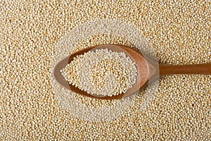 Quinoa Real on a wooden spoon