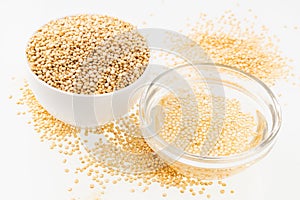 Quinoa seeds fermented with water in glass bowl - Chenopodium quinoa