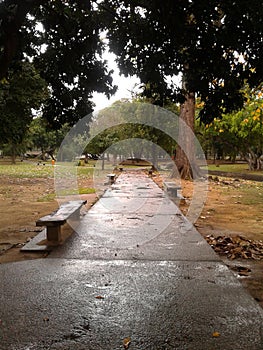 Quinta da Boa Vista Rio de Janeiro Brazil.