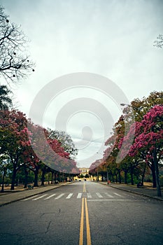 Quinta da Boa-Vista - RJ