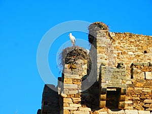 casttle of Quintana of Marco, LeÃ³n, Zamora, Spain photo