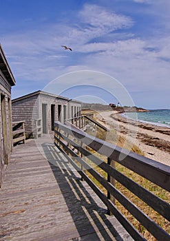 Quintessential Cape Cod