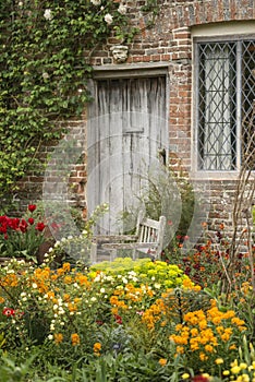 Quintessential vibrant English country garden scene landscape wi