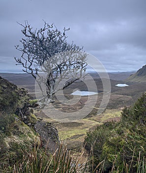 Quiraings on the Isle of Skye Scotland.