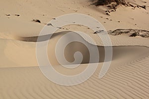 Quirks of the desert. Nora in the sand dune