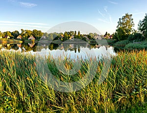 Quite summer evening view over the reed of the pond