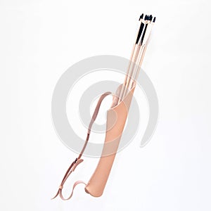 Quiver with arrows on white background