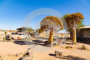 The quiver tree growing out of a car at Solitaire, Namibia