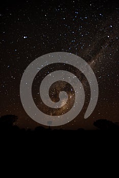 Milky Way over Quivertree Forest in Namibia photo