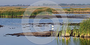 Quivira National Wildlife Refuge