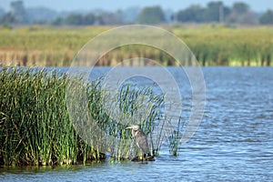 Quivira National Wildlife Refuge