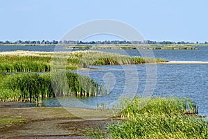 Quivira National Wildlife Refuge