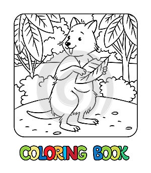 Quokka standing with a leaf. Kids coloring book