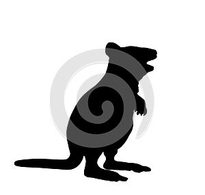 Quokka vector silhouette illustration isolated on white background.