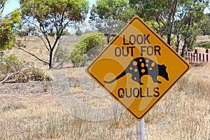 Quolls warning road sign, South Australia