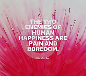 Quote by Arthur Schopenhauer. The two enemies of human happiness are pain and boredom. photo